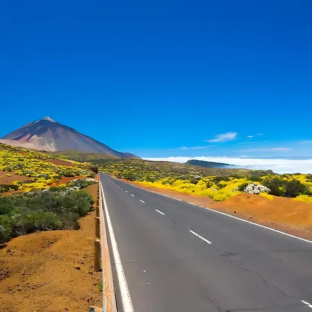 Kiko 伊科德·德·洛斯·维诺斯