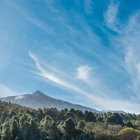 Kiko * Icod De Los Vinos