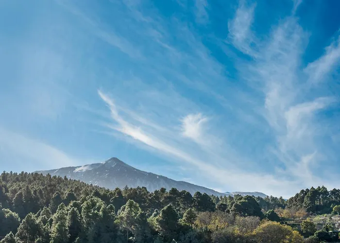 Kiko * Icod De Los Vinos