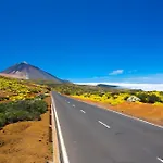 Kiko إيكود ذي لوس فينوس