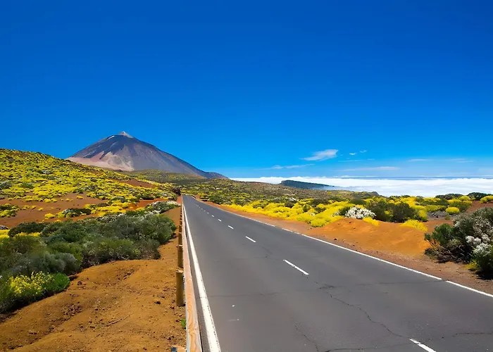 Kiko Icod De Los Vinos