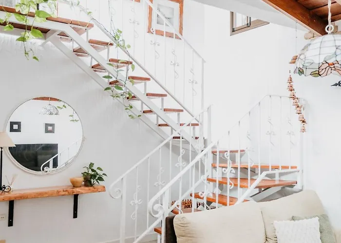 Kiko 이코드레로스비노스